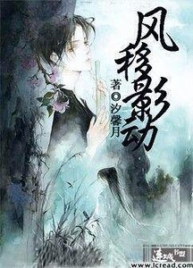 风移影懂