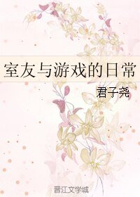 室友与游戏的日常