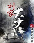 刘家大少