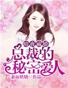 暗夜藏嬌:總裁的秘密愛人