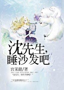 沈先生,睡沙发吧
