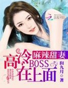 麻辣甜妻:高冷BOSS在上面