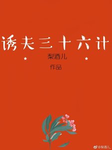 诱夫三十六计