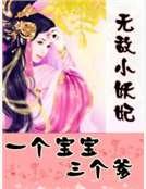 無敵小妖妃:一個寶寶三個爹