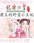 妃要休皇:君王的野蠻小王妃