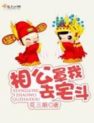 相公罩我去宅鬥