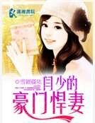 閆少的豪門悍妻