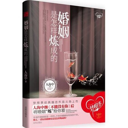 婚姻是怎样炼成的(出书版)