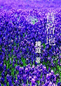 苜蓿地