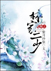 (红楼同人)红楼之林家二少
