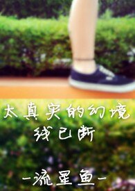太真实的幻境 2.0 —— 线已断