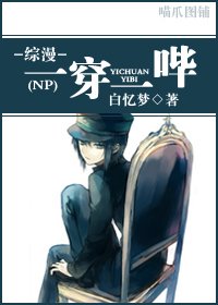 (綜漫同人)一穿一嗶