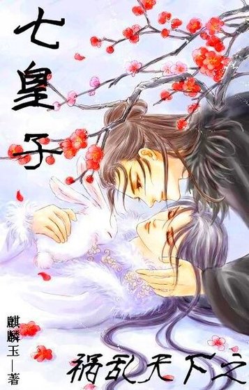 祸乱天下之七皇子