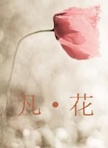 凡·花