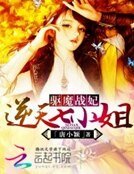 驱魔战妃:逆天七小姐