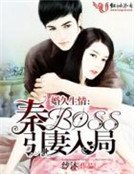 婚久生情:秦BOSS引妻入局
