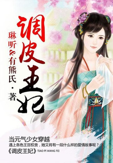 调皮王妃(电视剧原著小说)