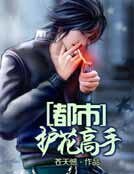 都市护花高手