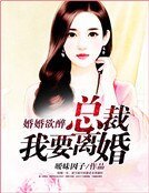 婚婚欲醉:总裁我要离婚