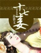 十七妾:腹黑王爷九等侍妾