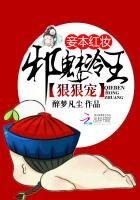 妾本红妆:邪魅冷王狠狠宠