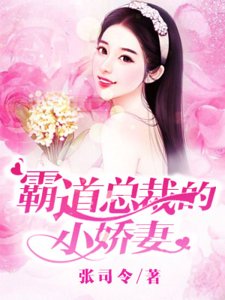 霸道总裁的小娇妻