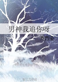 男神我追你呀