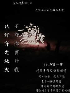 只许齐光放火