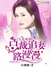 久爱成婚,总裁追妻路漫漫