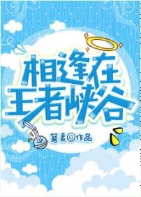 相逢在王者峡谷
