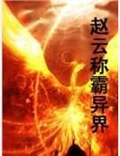 趙雲稱霸異界