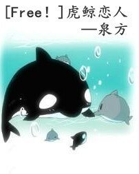 (Free!同人)虎鲸恋人
