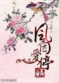 風因愛停