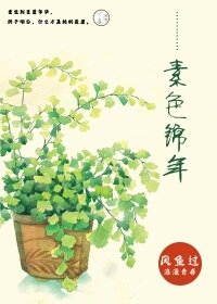 素色錦年