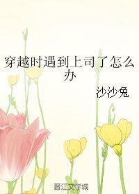 穿越时遇到上司了怎么办