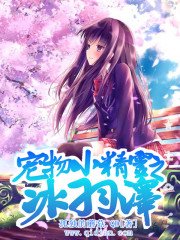 (宠物小精灵同人)宠物小精灵之冰羽泽