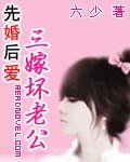 先婚後愛:三嫁壞老公