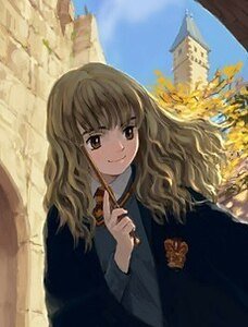 (哈利波特同人)哈利的魔法世界