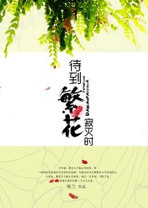 待到繁花寂滅時