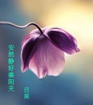 安然静好秦阳天
