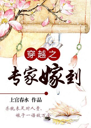 穿越之專家嫁到/娘子敵萬金