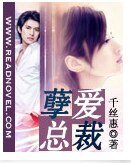 孽愛總裁