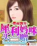 犀利媽咪 買一贈二