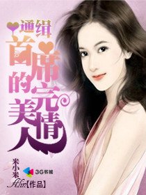 通缉:首席的完美情人