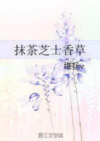 抹茶芝士象草