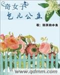 奇女子:乞兒公主