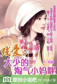 先欢后爱:惹火妈咪17岁/残爱:大少的淘气小妈咪