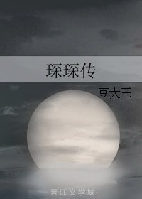 琛琛傳