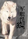 军职悍狼(重生)