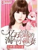 亿万总裁的淘气小暖妻